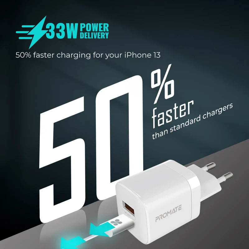 33W Power Delivery GaNFast™ Charging Adapter in Nepal