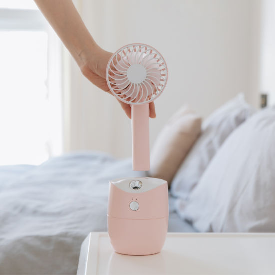 LLD-21 Rotary Spray Fan Humidifier Detachable Rotary Mist Spray Fan Portable USB Rechargeable Fan Aroma Diffuser Humidifier
