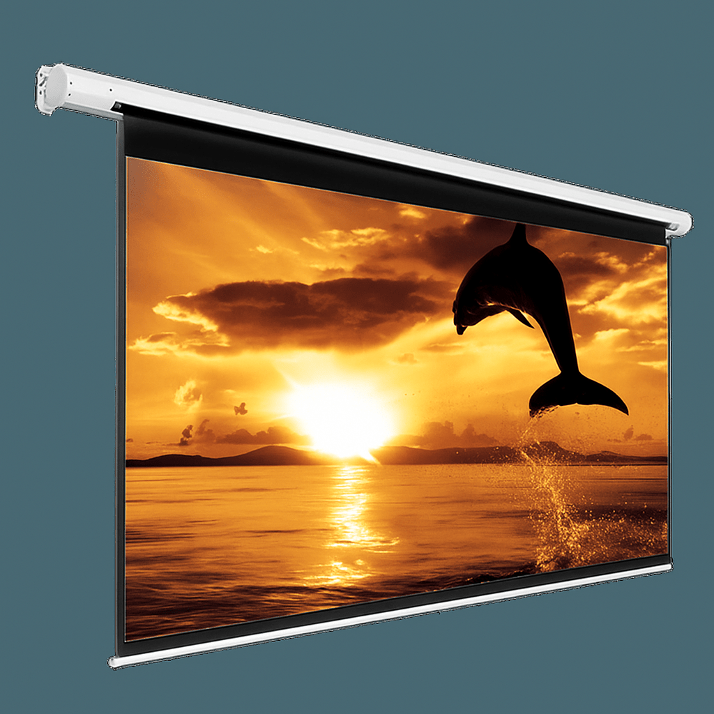 Projector Screen with remote