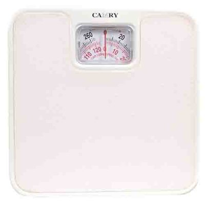 Camry Medical Personal Scale BR9011