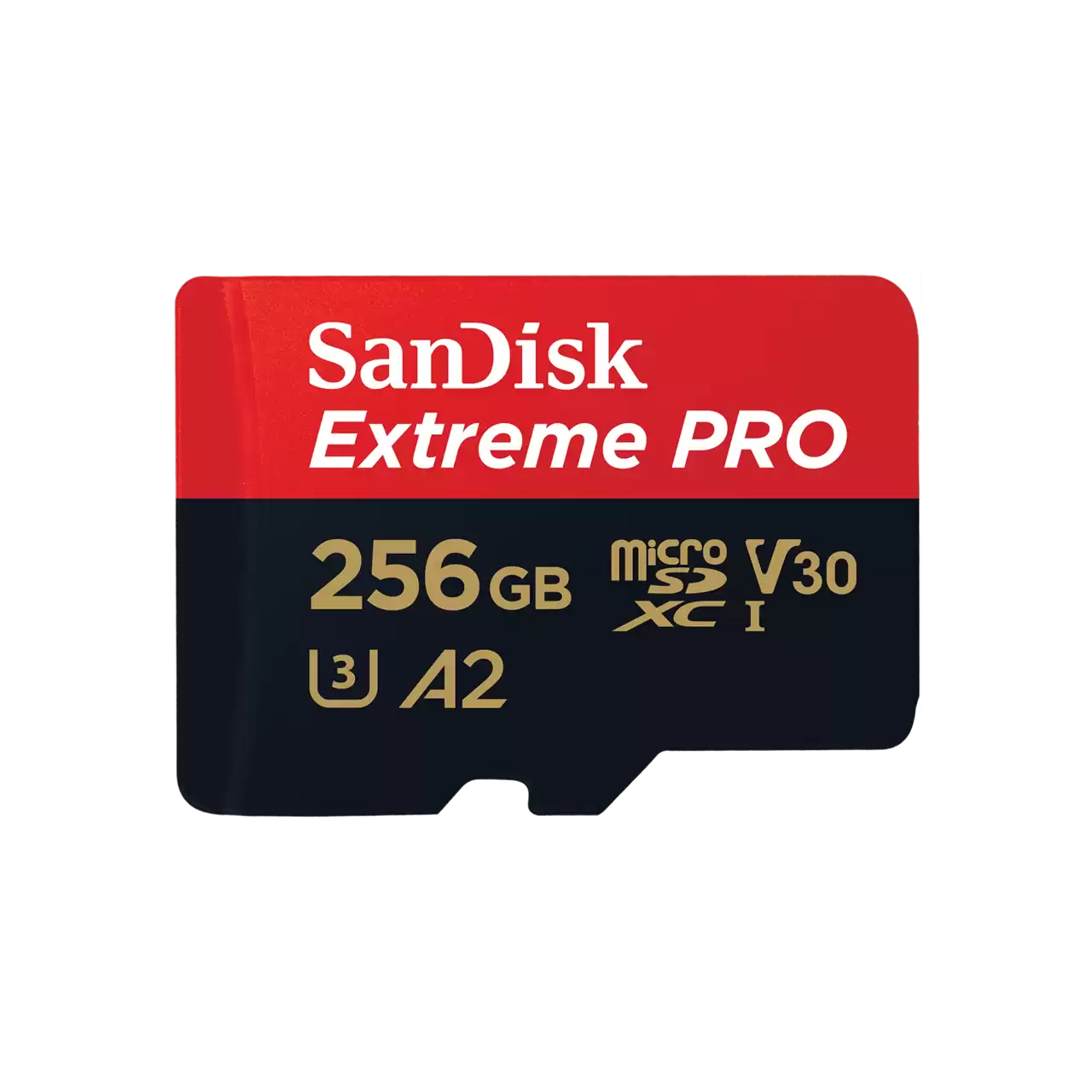 SanDish Extrame PRO 256GB (V30/A2)